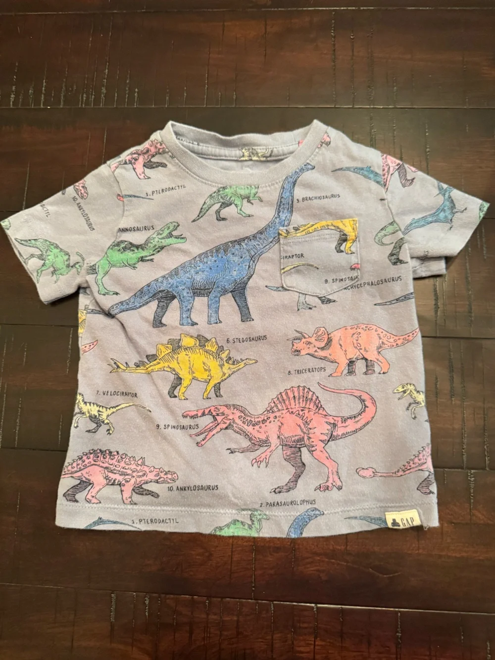 GAP Kids Dinosaur Pocket Tee - size 18-24 months